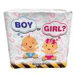 BOY OR GIRL FINALE CAKE